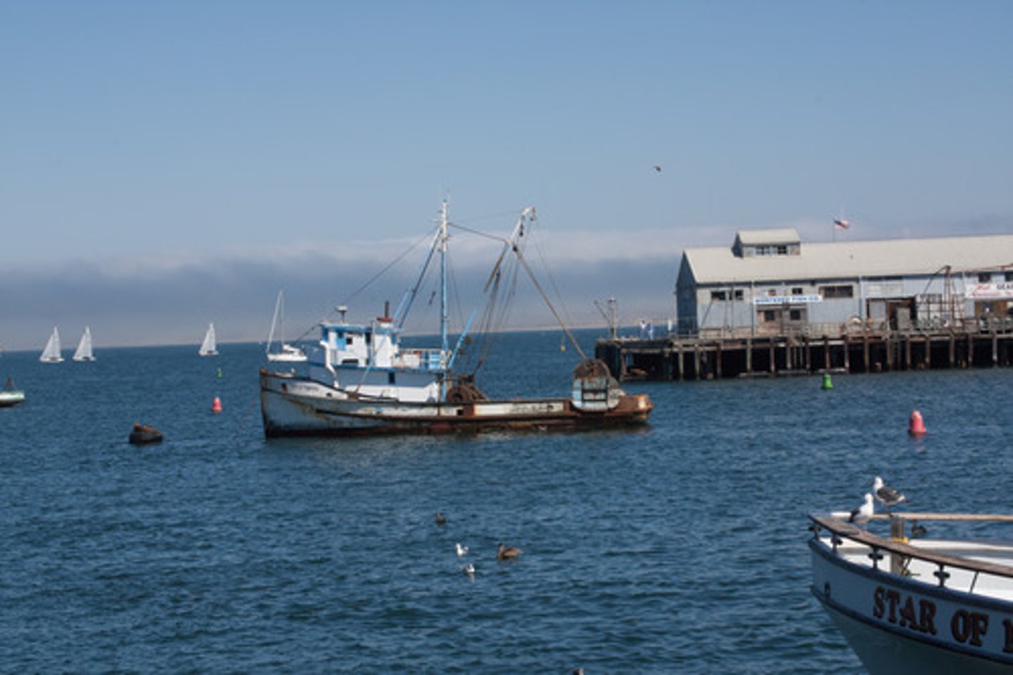 <p>A commercially harvestable population of fish within a particular ecological region.</p>