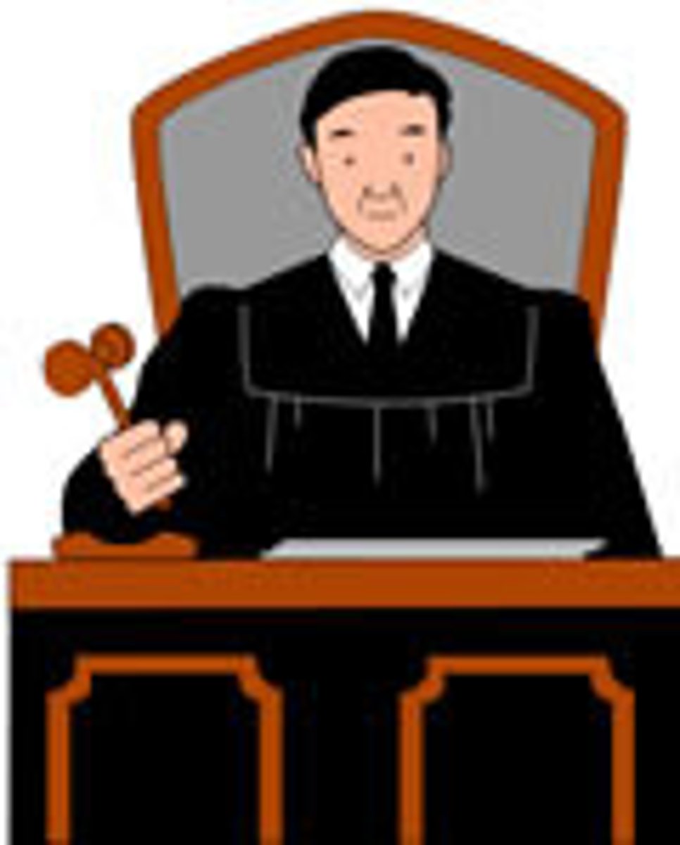 <p>một cách hợp lý, thuyết phục, EX: He explained his theory so plausibly that everyone believed him.</p>