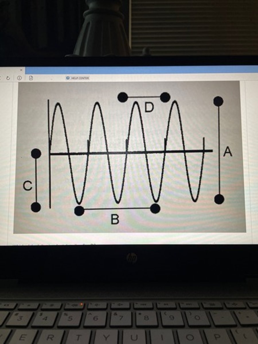 <p>Which of the following best describes line D?</p>