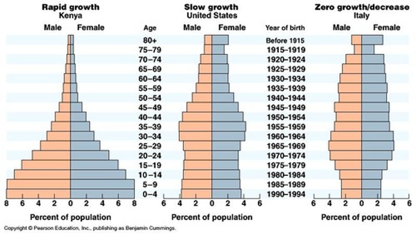 <p>A graph of the population of an area by age and sex.</p>