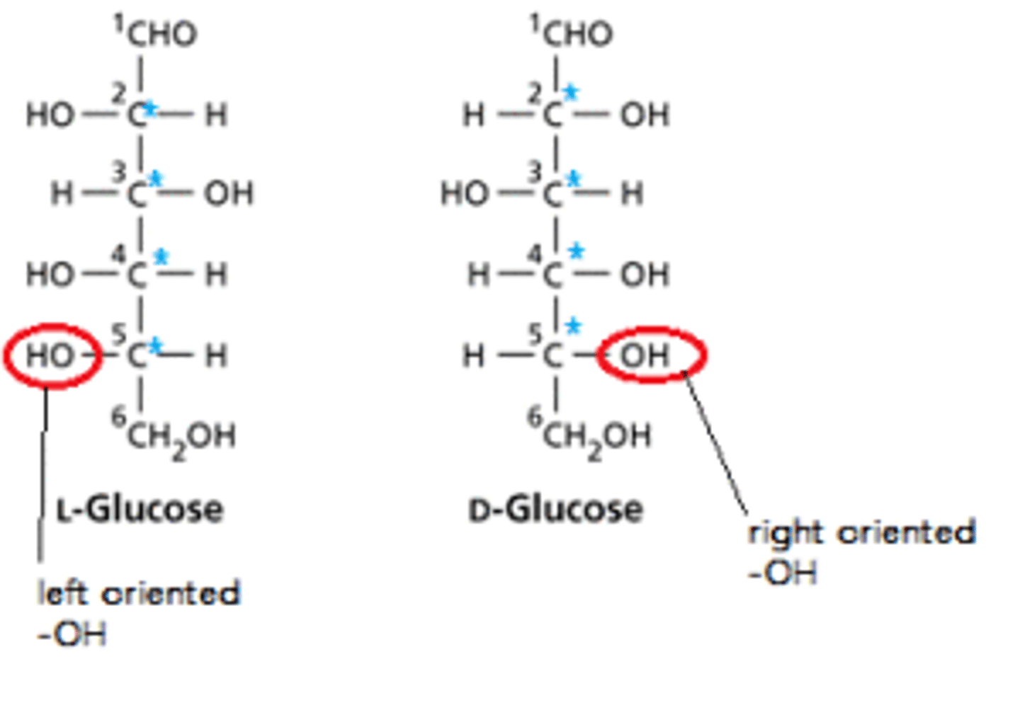<p>An easy way to distinguish the two is by what side the hydroxide on the final chiral carbon. With the aldehyde at the top of the Fischer projection, right side hydroxyls are D-glucose and left side hydroxyls are L-glucose.</p>