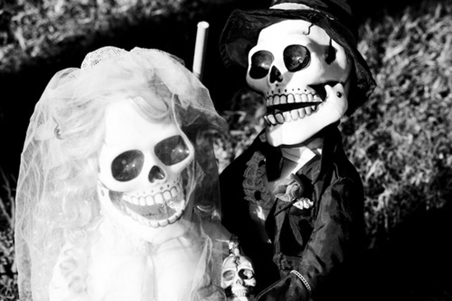 <p>dead people</p>