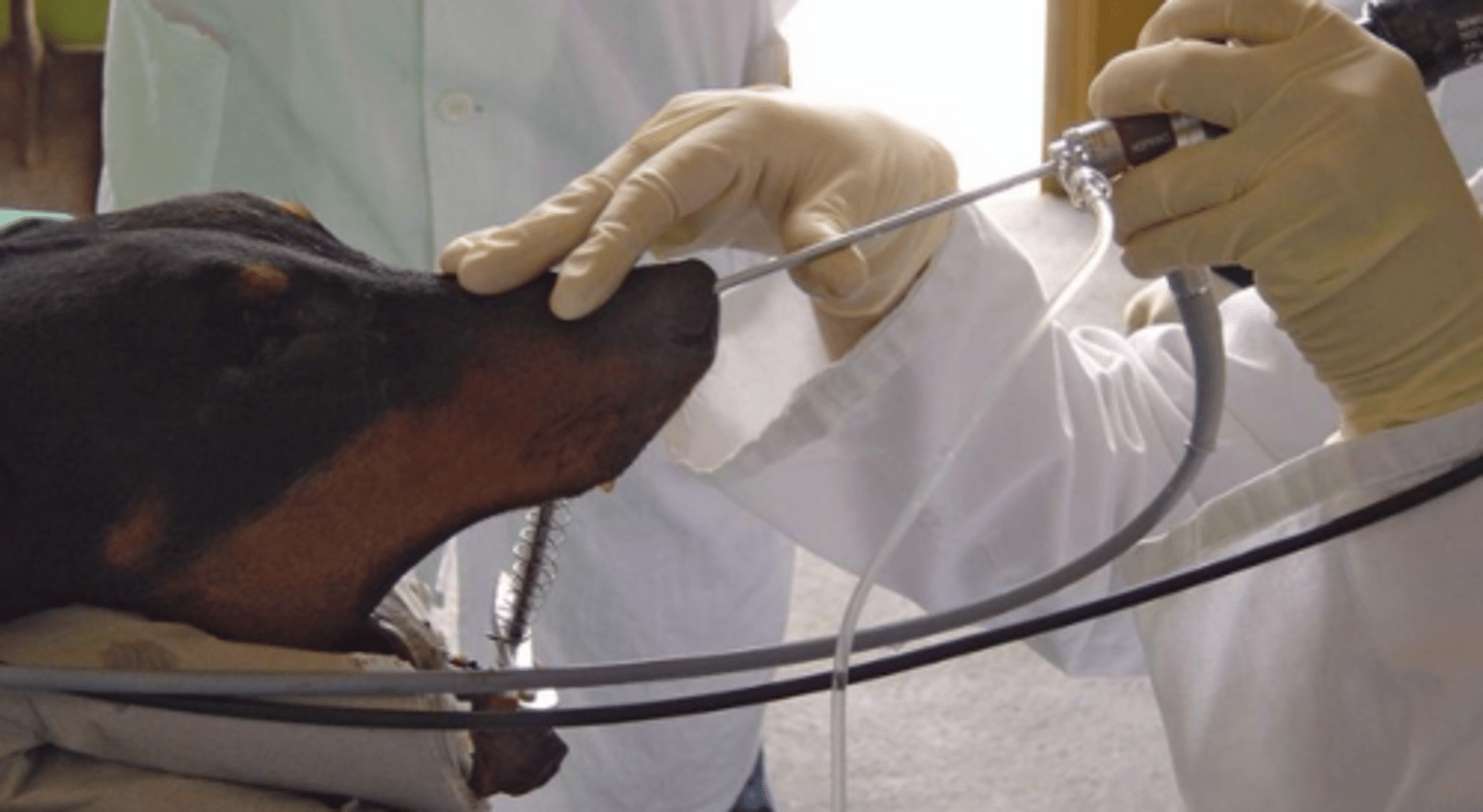 <p>what is this instrument?</p>