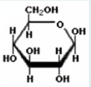 <p><span>What is this molecule?</span></p>