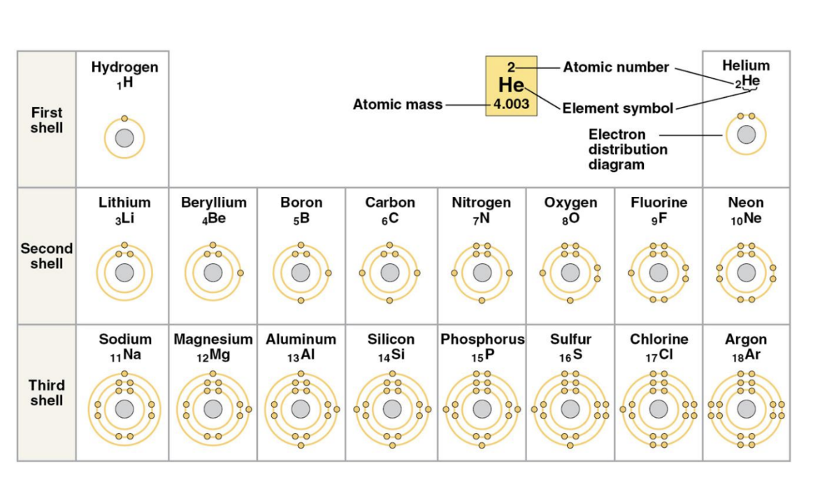 Electron distribution diagrams for the first 18 elements in the periodic table.