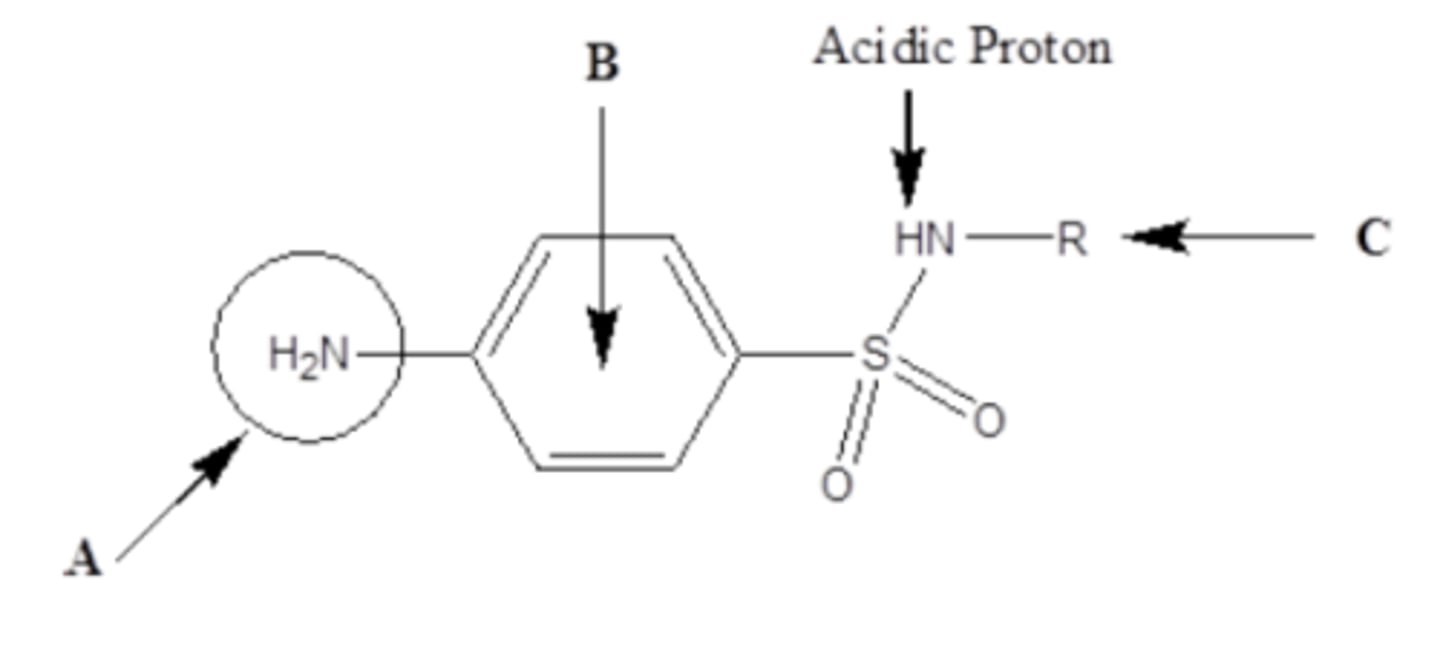 <p>N1</p>