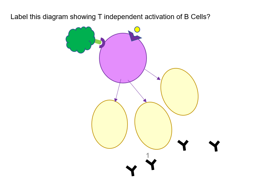 <p>Label the diagram.</p>