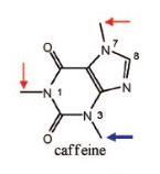 <p>Name Enzyme&nbsp;</p>
