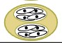 <p>2 sporocysts, 8 sporozoites, heteroxenous</p>