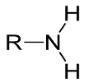 <p>-NH2; found in amino acids and proteins; polar/hydrophillic and basic (accepts H)</p>