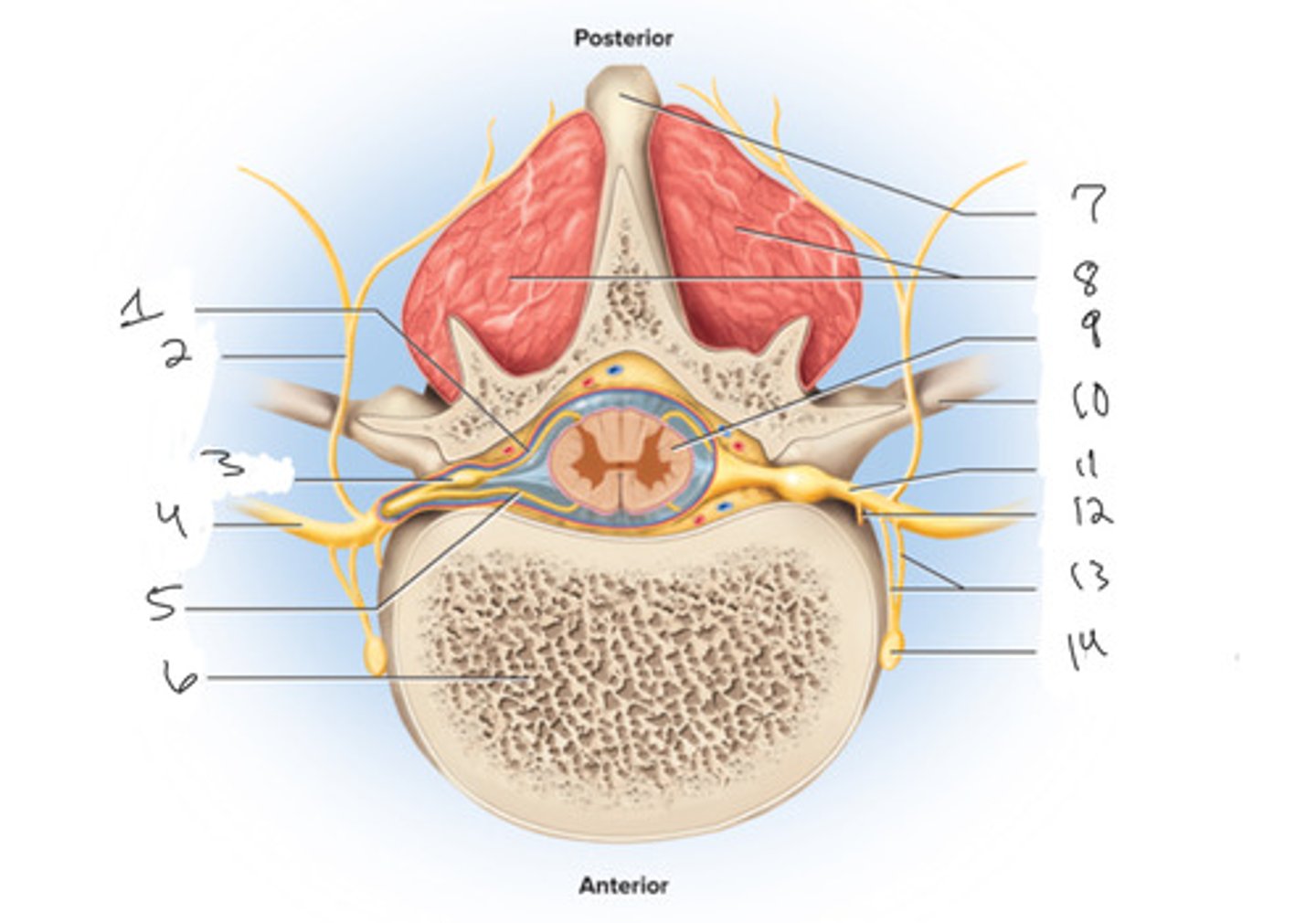 <p>What is number 1</p>