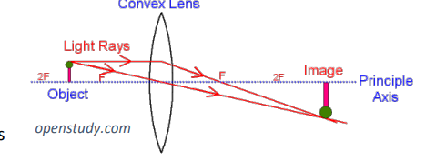 <ul><li><p>focus light inwards </p></li><li><p>used for magnifications </p></li><li><p>used to correct long - sightedness as it focuses the rays closer</p></li></ul><p></p>