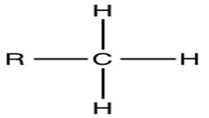 <p>Methyl Group</p>