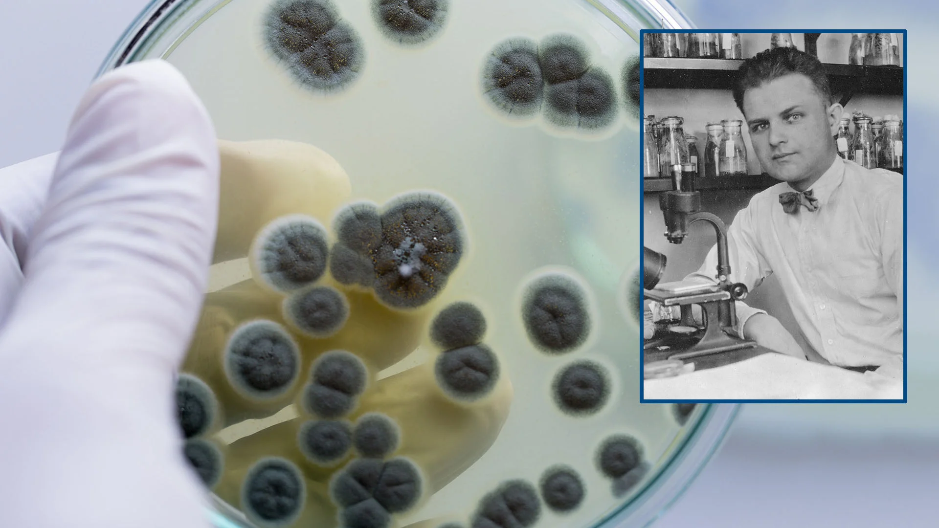 <p>The first antibiotic discovered by Alexander Fleming in 1928, which works by bursting bacterial cell walls and has saved millions of lives.</p>