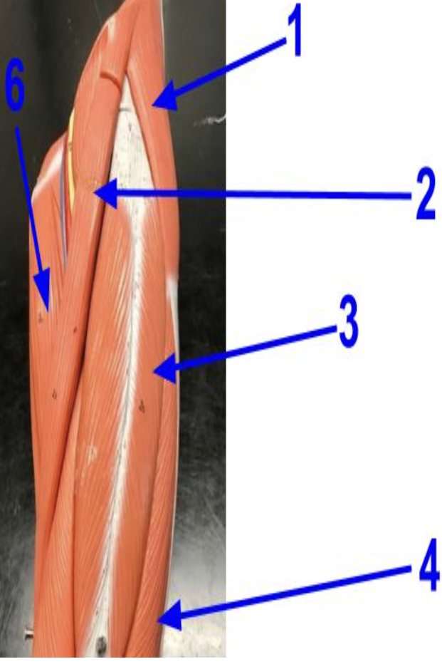 <p>What Is 3 Indicating</p>