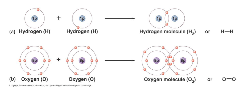 <p>- attraction of atom for electrons<br>- the more electronegative an atom, the greater the pull its nucleus exerts on electrons</p>