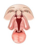 <p>What is this image demonstrating?</p>