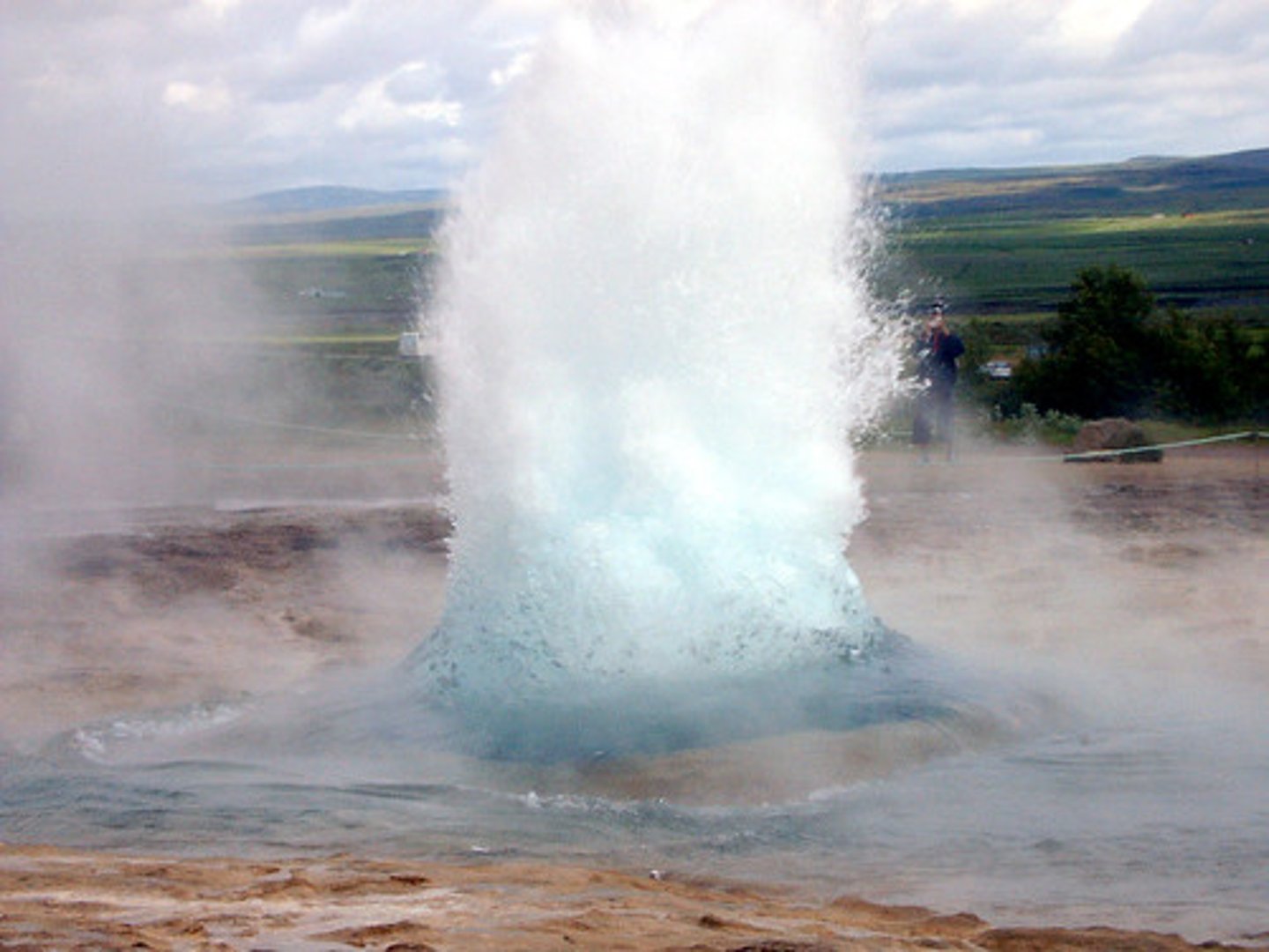 <p>Type of bacteria found at Yellowstone National Park</p>