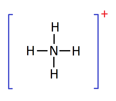 <p>NH4+</p>