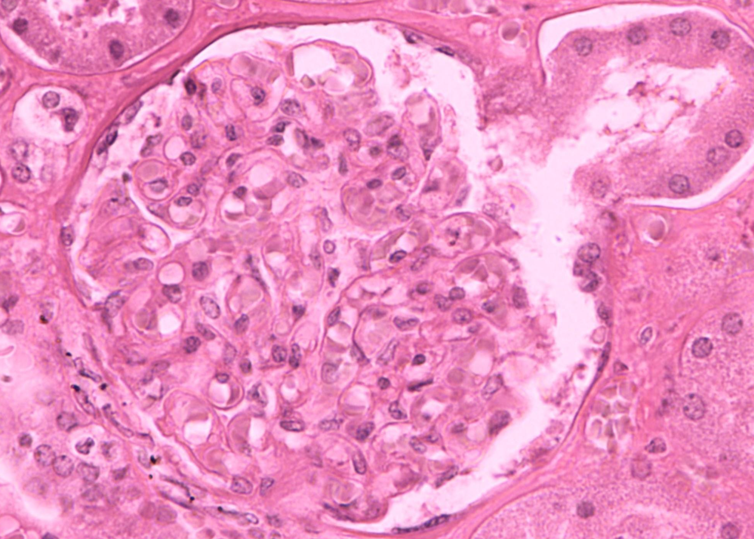 <p>ID the image</p>