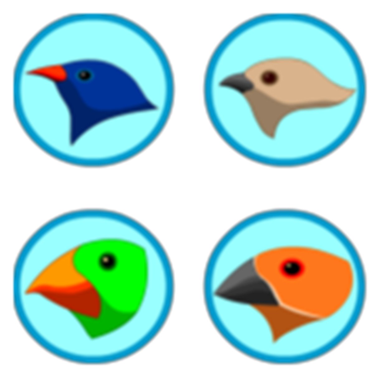 <p>characteristics, traits, features</p>