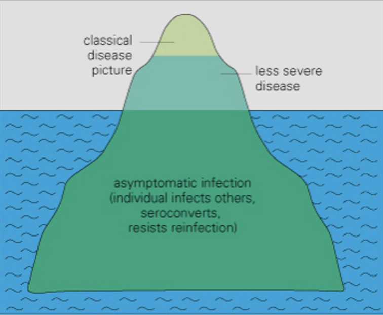 <ul><li><p>only a small portion of a disease is visible and detected e.g. in death, hospitalisation</p></li><li><p>the majority of people w a disease are asymptomatic and hidden/ undetected</p></li></ul>