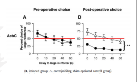 <p><strong>Cardinal et al. (2001)</strong></p><p>NA lesions what does data show</p>