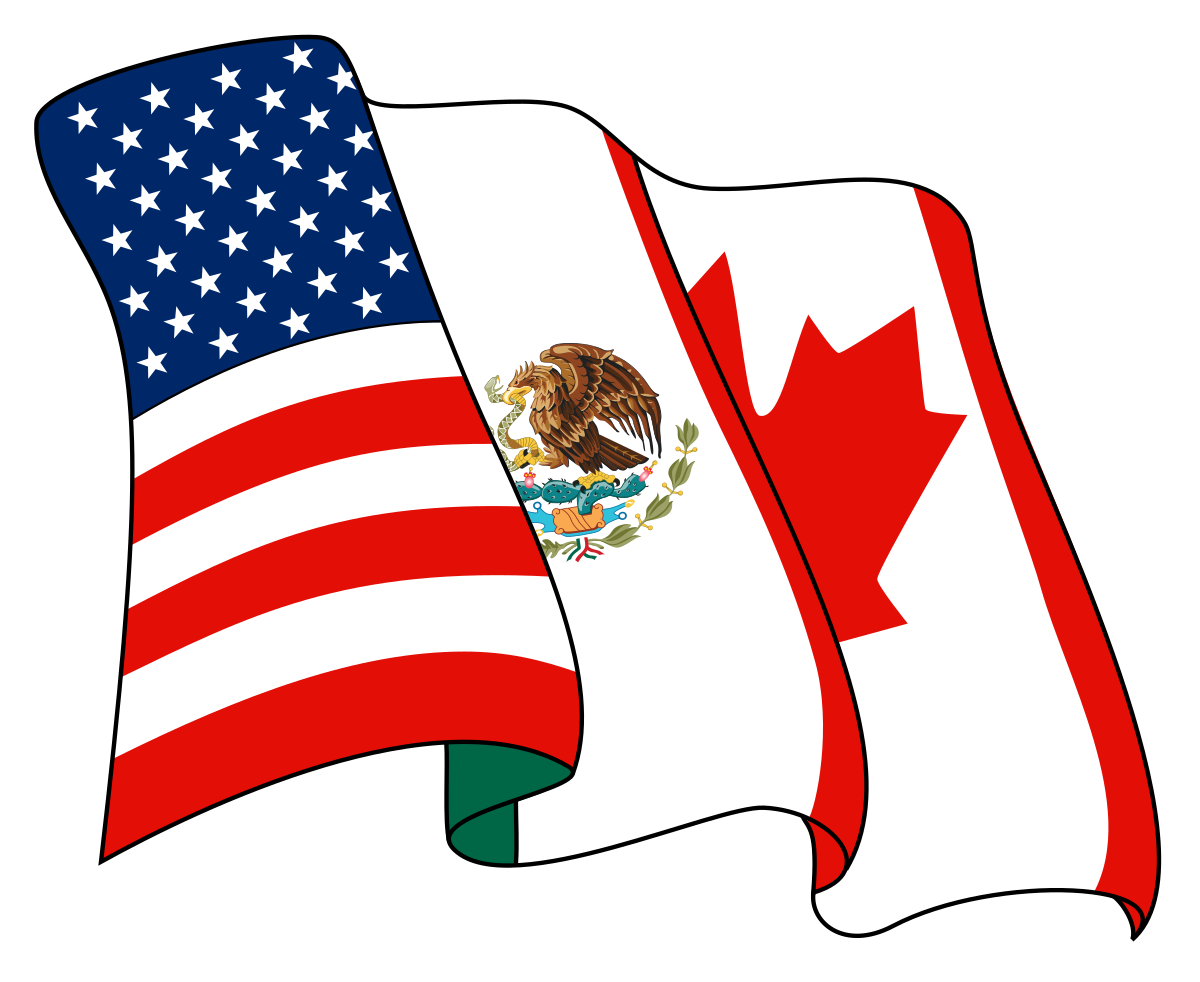 <p>Economic integration where countries seek to remove all barriers to trade among themselves but where each country determines its own barriers against nonmembers.</p><p>Example: North American Free Trade Agreement (NAFTA)</p>