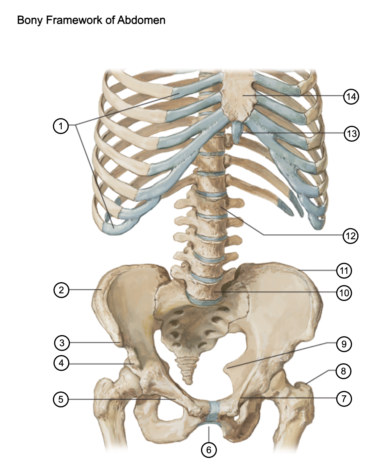 <p>6</p>