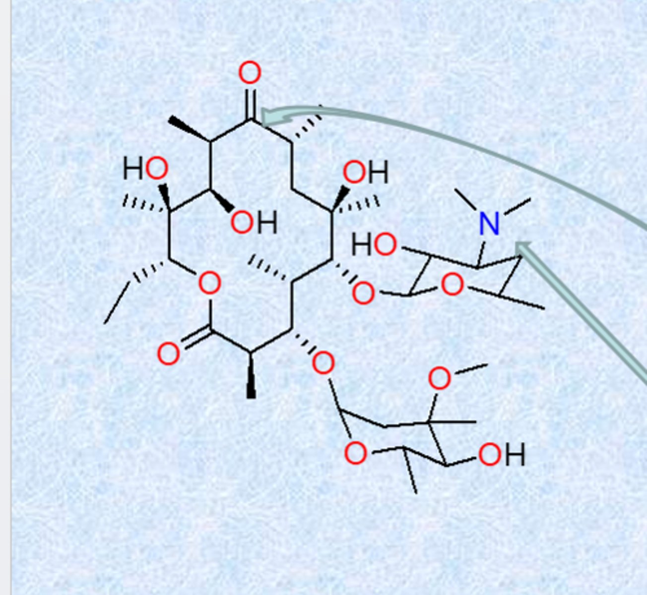 <p>- metabolites isolated from soil microorganism, Streptomyces</p><p>- early work: isolation, later work: semi-synthetic derivatives to improve PK</p><p>- macrolide = big ester (ester linkage in large ring)</p><p>- large lactone ring, ketone group, glycosidically linked amino sugar</p><p>- lactone ring has 12, 14 or 16 atoms and is often unsaturated (large rings)</p><p>- floppy, amphipathic characteristic (all methyls on one side and all oxygens on other side - one binds to target and others face outside)</p><p>- dimethylamino group on sugar makes the macrolides bases that form salts (needed, does not work when it is taken away because weakens binding to ribosome)</p>