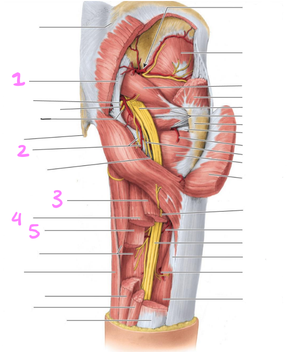 <p>identify structures 1-5</p>