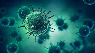 <p>emerging infections<br>new bacterial mutations</p>
