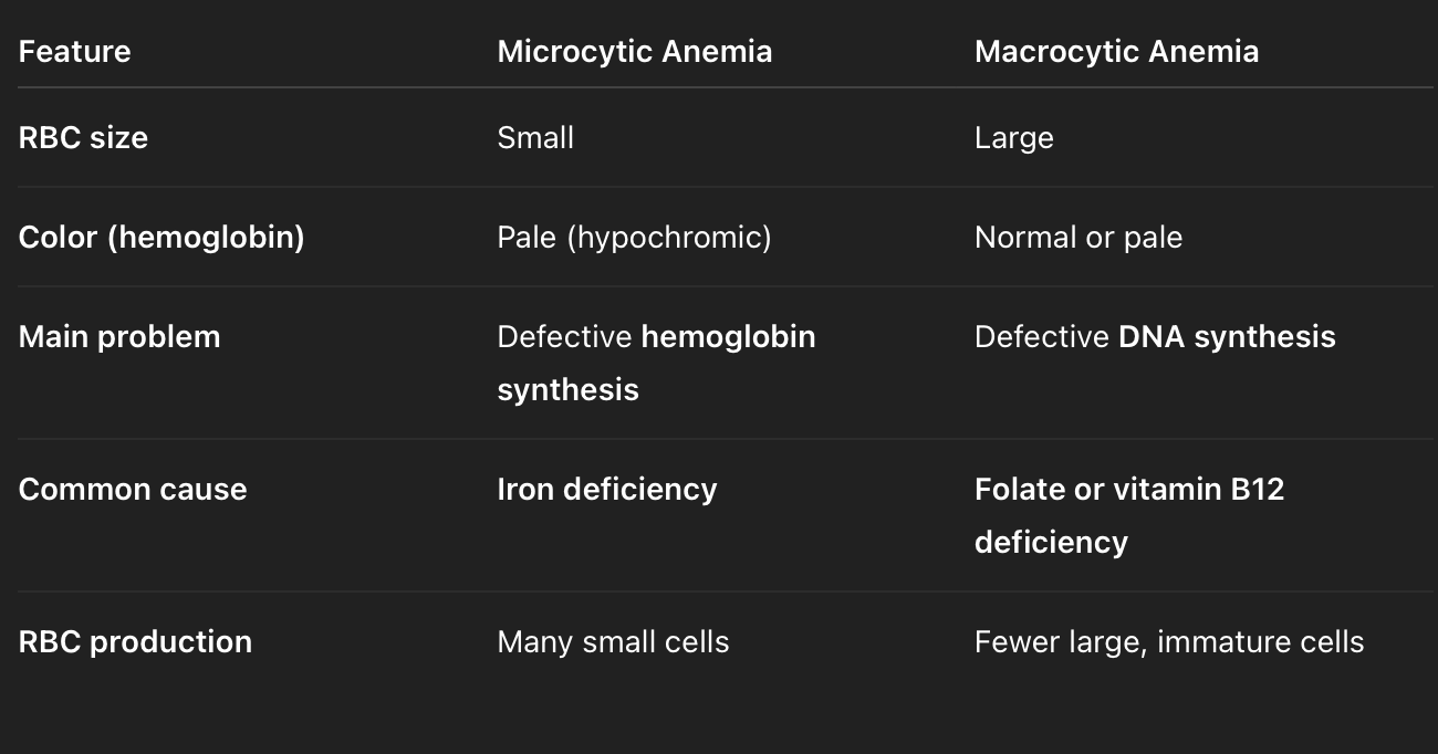 <ul><li><p><strong>Micro = small → iron issue (hemoglobin problem)</strong></p></li><li><p><strong>Macro = large → folate/B12 issue (DNA problem)</strong></p></li></ul><p></p>