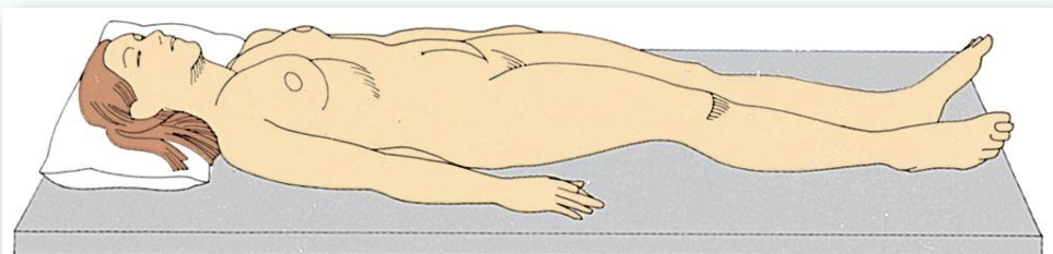 <p>POSTERIOR THORAX; SPINE</p>