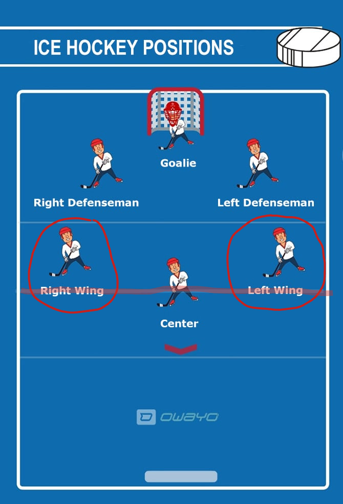 <p><span style="background-color: transparent;"><span>T</span></span><span><span>his position cannot go past the center line into the defensive area. Their responsibility is to work with the center on offensive play. Also known as wings.</span></span></p>