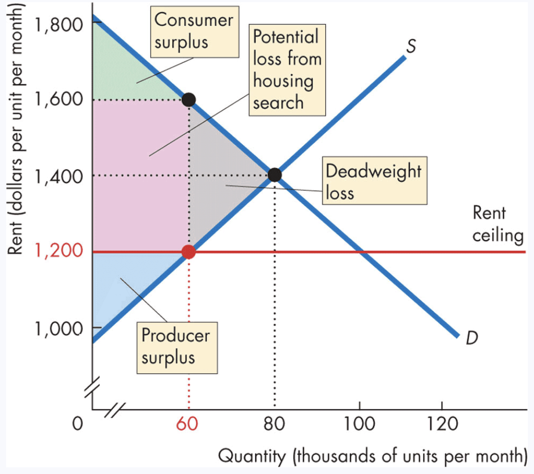 <p>-b/c Q supplied < efficient Q → deadweight loss (grey triangle)</p><p>-producer surplus shrinks to blue triangle</p><p>-consumer surplus shrink to green triangle</p><p>-potential loss from inc search activity/opportunity cost is red rectangle (full loss of price ceiling = sum of deadweight + inc cost of search)</p>