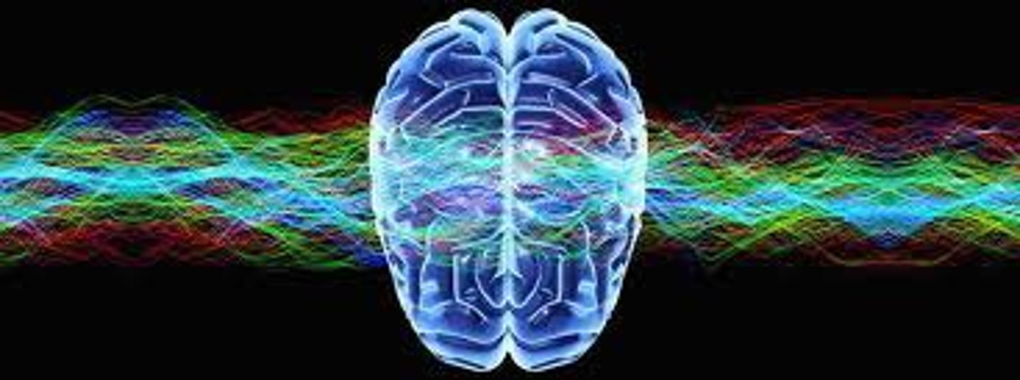 <p>The interdisciplinary study of the brain activity linked with thinking including perception, thinking, memory, and language.</p>