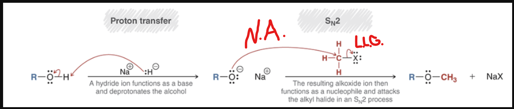 knowt flashcard image