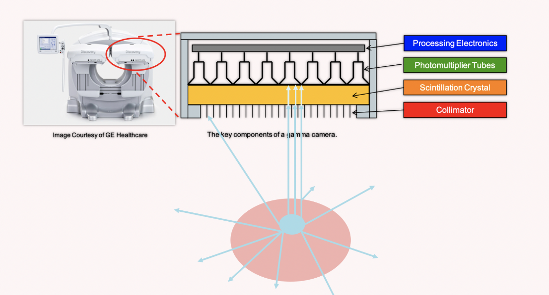 <p>gamma camera components r - how to make 3d images</p><p>(1) <u><span>the Collimator</span></u> - allows us to work out position of photon emission. Only ionising radiation parallel to collimator holes pass through scintillation crystal</p><p>(2)<u><span> Scintillation crystal</span></u> - converts ionising radiation into light photons</p><p>(3) <u><span>Photomultiplier Tubes</span></u> - light photons are converted into electrons before being significantly amplified in number</p><p>(4) <u><span>Processing Electronics -</span></u> positional and energy info is gathered. Image digitalized ready for display</p><p></p><p>sinogram = stack of projections taken at different angels </p>