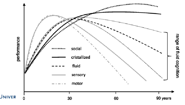 <p>Contrary to earlier assumptions, development is not a universal process leading in one direction (→ more “mature” functioning).</p><ul><li><p>Different capacities show different patterns of change over time.</p></li></ul><p></p>