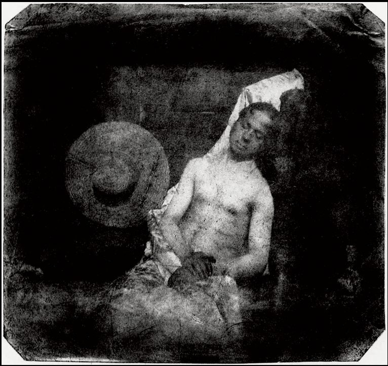 term image