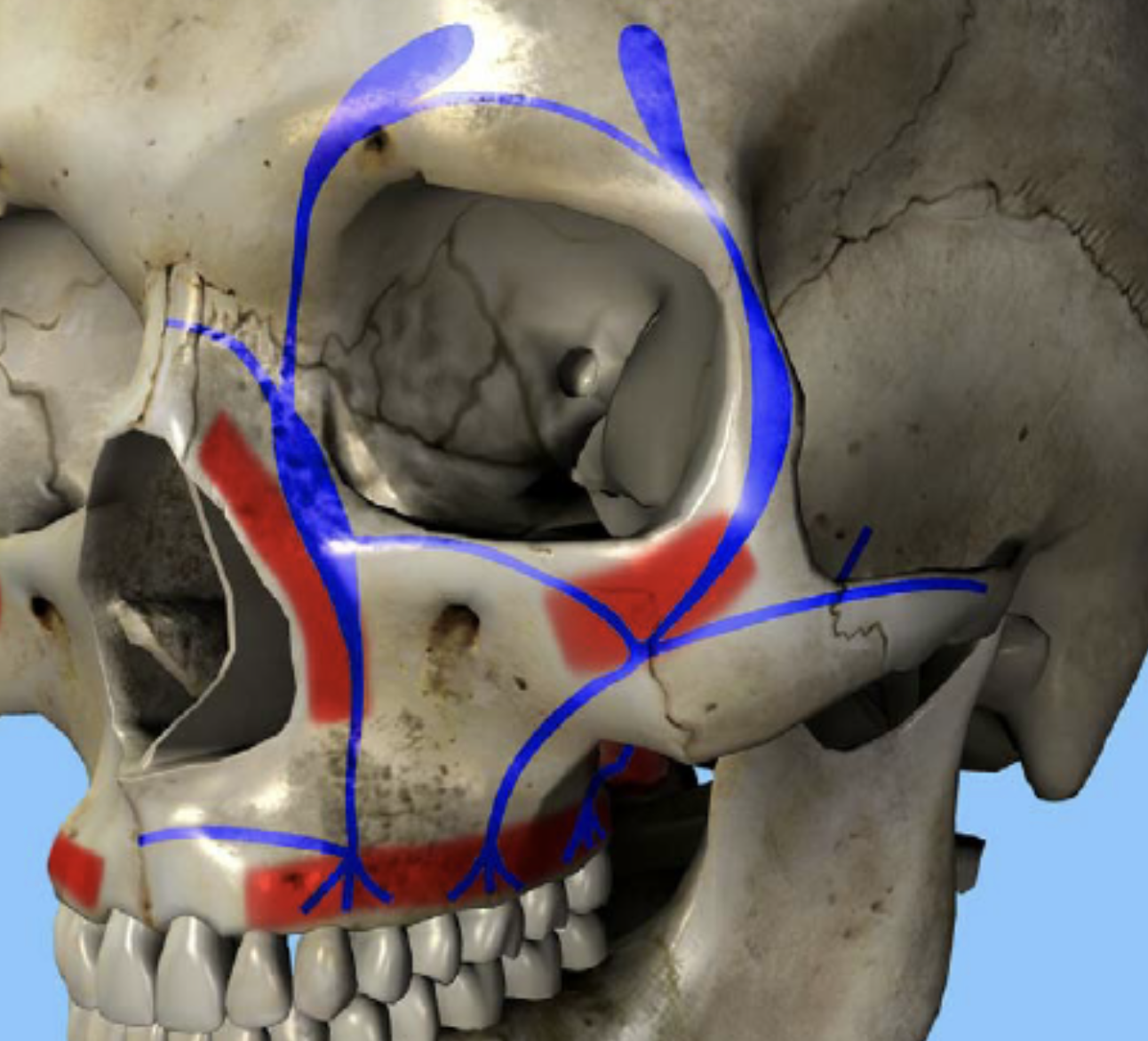 <p><span style="color: blue;"><strong>Que représente cette image et quelle fonction ?</strong></span></p>