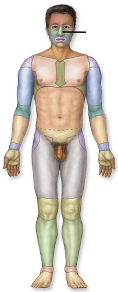 knowt flashcard image