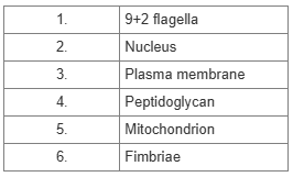 <p>In the table, which features are found in nearly all members of the Domain Eukarya?</p><ol><li><p>3, 5</p></li><li><p>1, 2, 5</p></li><li><p>1, 4, 6</p></li><li><p>2, 3, 5</p></li><li><p>2, 3</p></li></ol><p></p>