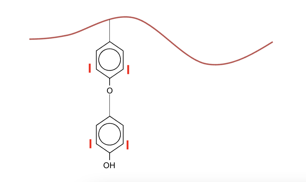 <p>2 iodinated tyrosines are coupled together, and are catalysed by TPO</p><p>DIT + DIT → T4, DIT + MIT → T3</p><p>Hormones are still bound to thryoglobulin and stored in colloid</p>