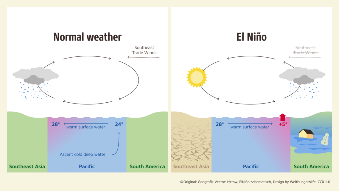 <p>year to year oscilaation that effects the reduction of pressire gradients across the equaotrial pacific </p><p>→ Pressure gradient under normal contidions: trade winds below from HPZ (cold water) zones to warmer LPZ.</p><p>→ Pressure graident weakens and Southeast winds displace warm water to HPZ zones, causing a shift or reverse in trade wind direction; less dense water casuses stable stratiifcation and inbiitis upwelling of cold water</p>