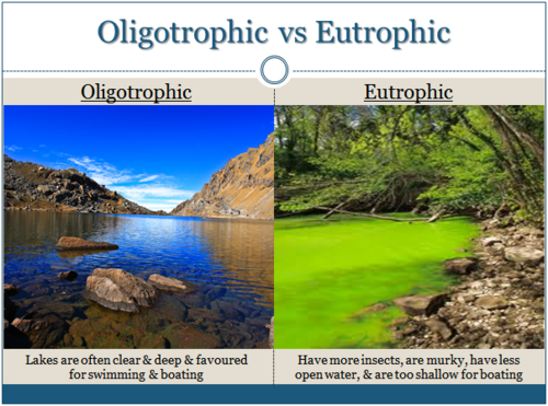 Water characterized by an abundant accumulation of nutrients that support a dense growth of algae and other organisms- high productivity, usually low O2