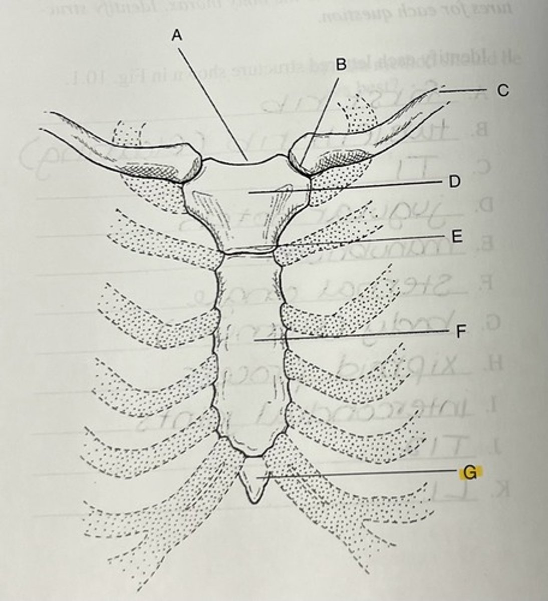 knowt flashcard image