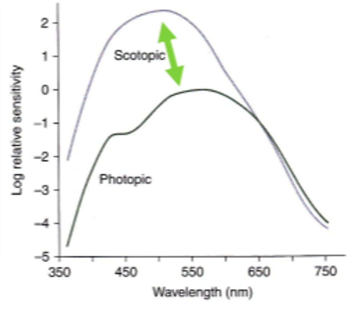 <p>difference in sensitivity between scotopic and photopic systems for a given wavelength.</p>