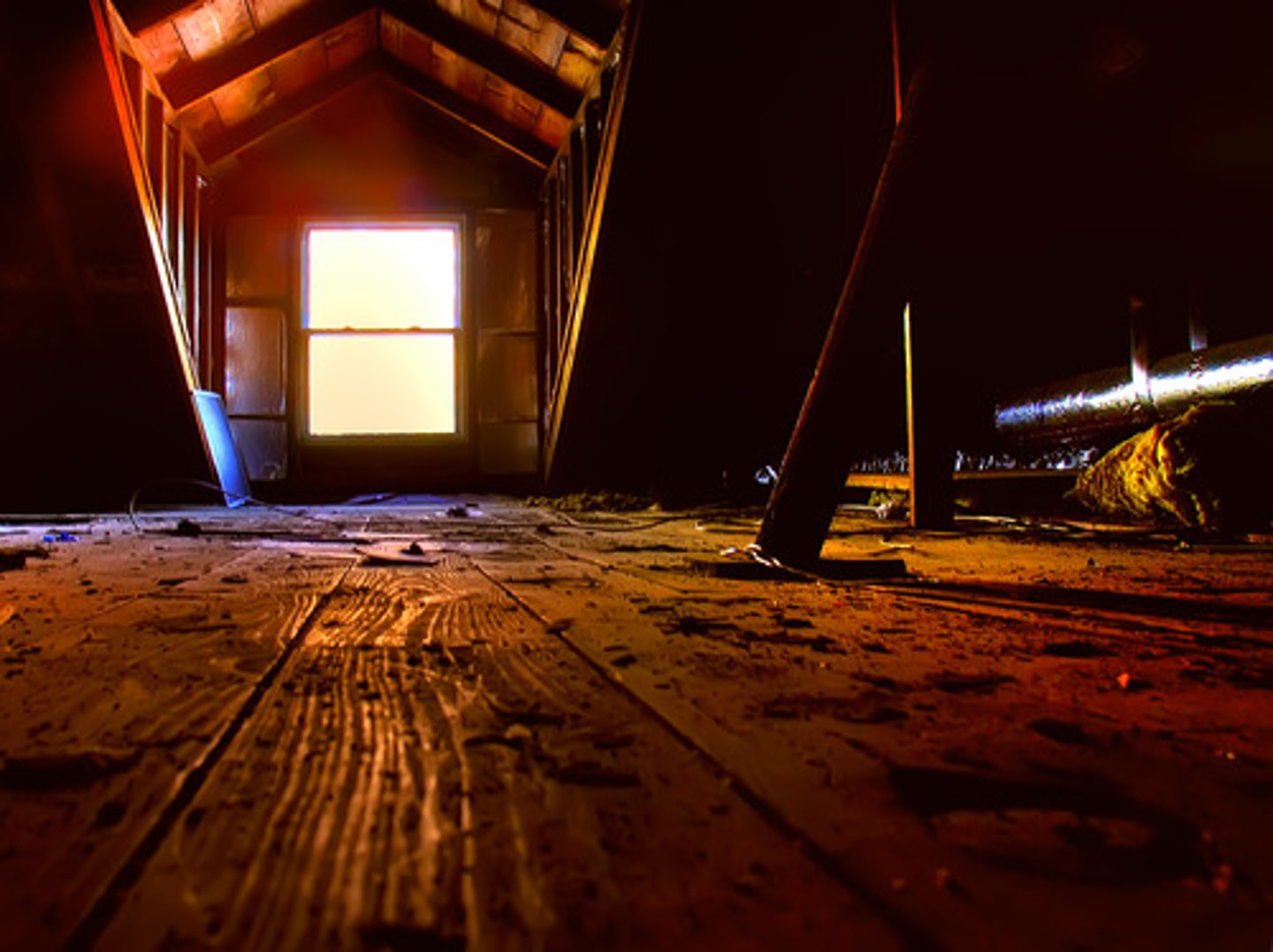 <p>горище, чердак(the space or room at the top of a building, under the roof, often used for storing things)</p>